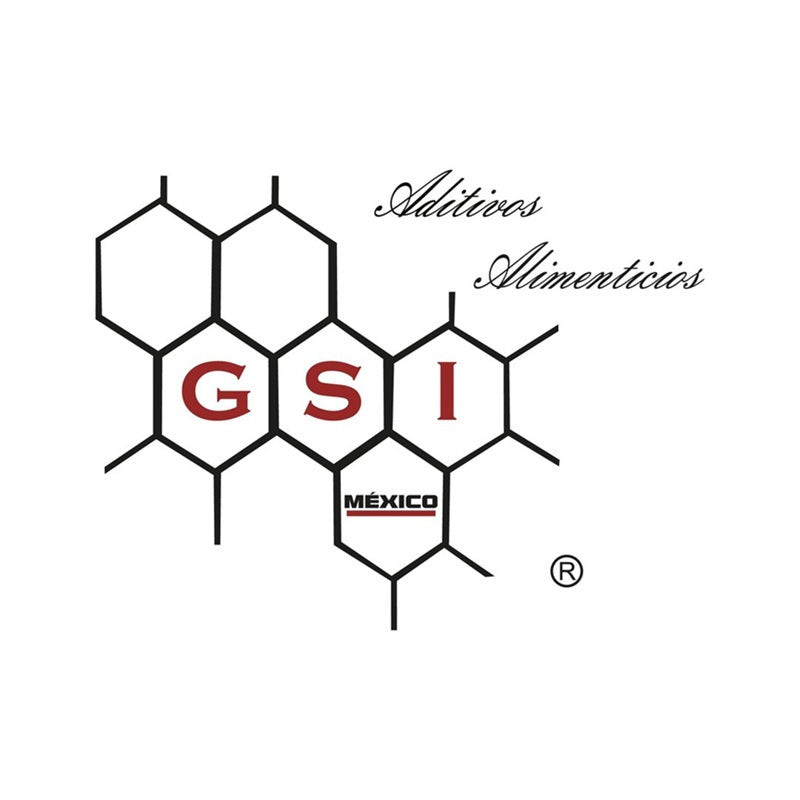 GSI Ice 905 Estabilizante para Helados Sin Lactosa - 1 kg - Mejora Textura y Cremosidad - Uso Profesional